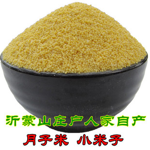  新沂蒙庄户农家自产有机 营养米 月子米 小米子 宝宝米 500g