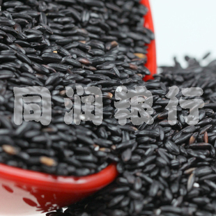  真心推荐 新货优质东北黑香米 粗粮 杂粮 正宗黑米 500克