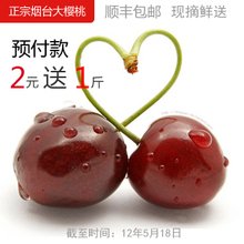 预定山东烟台大樱桃/特产/车厘子新鲜水果团购批发5月中下旬/包邮