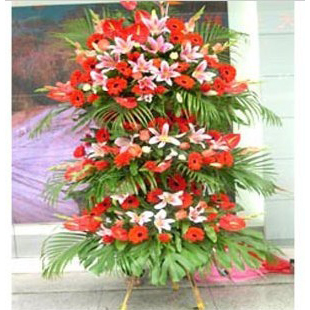 Opening ceremony basket business affairs Housewarming baskets whole country flower Distribution Flower express Same city That day is within reachin the Flower delivery/Flowers simulation/Plants gardening , Business with flowers category - from Buy2taobao.com to provide professional Taobao agent buy service