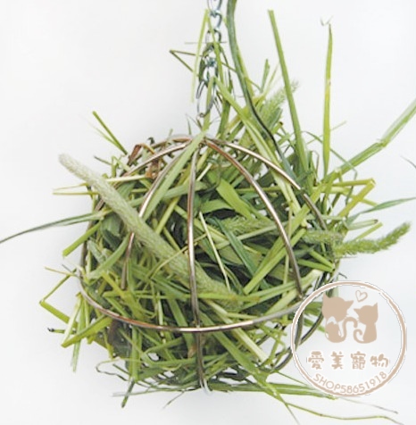 rabbit Grass frame Totoro Guinea pigs Grass Ball Grass frame Toys Stainless steel Dishes Solid food rackin the Pet/Pet food and supplies , Class pet hamsters and other small , Small Animals (New) , Dishes category - from Buy2taobao.com to provide professional Taobao agent buy service