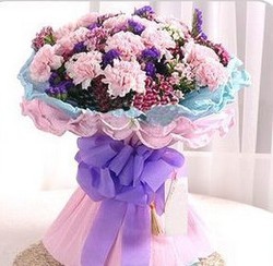 【皇冠信誉】限送昆明鲜花康乃馨的祝福致最爱母亲节鲜花探望生日|ruв категории доставка цветов/цветок моделирования/растения садоводства, доставка цветов (город) - от Buy2taobao.com для оказания профессиональной услуги покупки агента Taobao