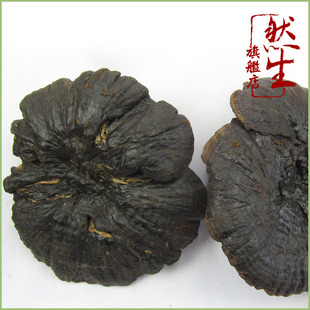  然生 云南紫灵芝 黑灵芝 灵芝破壁孢子粉 中华仙草 太岁灵芝