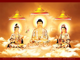 taobao english 13346461985