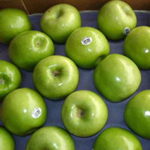 Fresh fruit American imports Green Snake fruit 6.90/ individualin the Aquatic meat/Fresh fruits and vegetables/Cooked , Fresh fruit , Apple category - from Buy2taobao.com to provide professional Taobao agent buy service