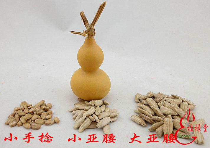 两包包邮天然葫芦种子手捻大中小亚腰葫芦籽可阳台盆栽酒葫芦种子