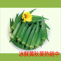精选黄秋葵 新鲜 冰鲜空运 六角毛豆羊角豆蔬菜 绿色人参500g