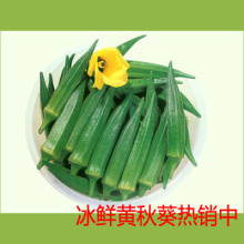 精选黄秋葵 新鲜 冰鲜空运 六角毛豆羊角豆蔬菜 绿色人参500g