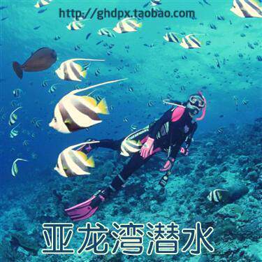 �ʹ����á�����ǱˮƱ|����������Ǳˮ|������ǱˮƱ|�ٷ���Ȩ��