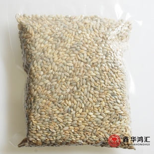  优质筛选蓝青稞米500克(真空包装) 健康低糖|养生杂粮 买８送１