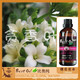 BESTOIL比奥纯水溶性植物精华橙花花水纯露