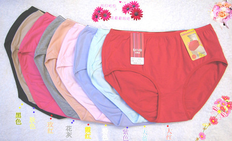 正品纯棉芭斯迪3035抗菌吸汗透气提臀收腹高