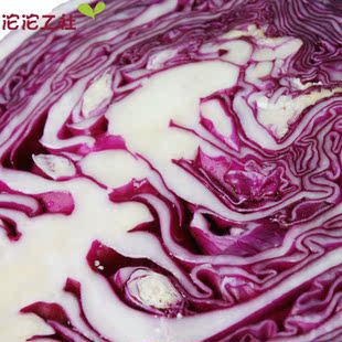  【沱沱工社】生态紫甘蓝约1000g 限北京六环内购买