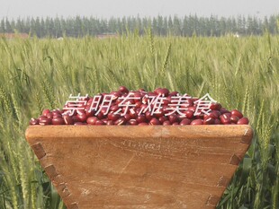  崇明 五谷杂粮 绿色健康 自家种植红豆 赤小豆 年新红小豆