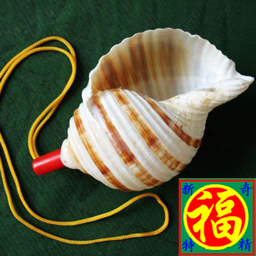 福記:天然海螺號角 喇叭 易吹響 兒童節玩具樂器 裝飾品在類目 家居飾品, 創意飾品, 海螺/貝殼/珊瑚中 - 來自Buy2taobao.com提供專業的淘寶代購服務