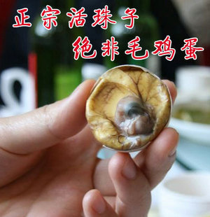  活珠子 鸡胚蛋 毛鸡蛋 喜蛋 凤凰蛋 旺鸡蛋 毛蛋喜蛋 新鲜凤凰蛋
