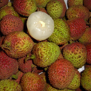荔枝