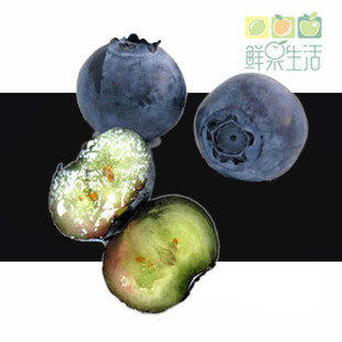  1盒（125克） 新鲜水果阿根廷进口有机蓝莓鲜果 保护视力 限北京