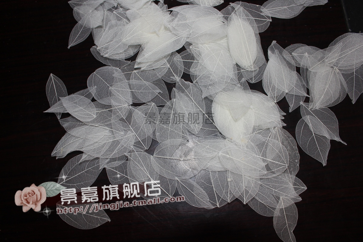 干花 金刚叶玉兰叶叶脉叶叶脉 标本专用叶叶脉书签金刚叶书签在类目 鲜花速递/花卉仿真/绿植园艺, 仿真花/绿植/蔬果成品(新), 仿真花中 - 来自Buy2taobao.com提供专业的淘宝代购服务