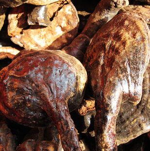  云南丽江老君山纯野生反柄紫芝/紫灵芝 增强免疫力 延寿极品 50克