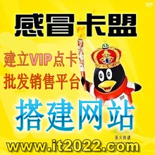 建立和【感冒卡盟】一样的游戏点卡批发销售平台网站,1700元!