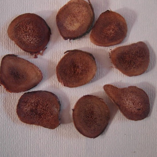  东北特产 梅花鹿茸血片 特级血茸片 正品鹿茸片 实惠装 包邮申通