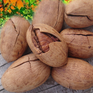  美国山核桃 大圆长寿果颗粒饱满干果坚果批发炒货美食手剥碧根果