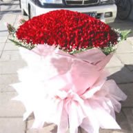 Valentine's Red Rose 999 Branch 情人节玫瑰 999 Red rose Bouquet of flowers Chongqing flower shopin the Flower delivery/Flowers simulation/Plants gardening , Flower delivery(City) category - from Buy2taobao.com to provide professional Taobao agent buy service