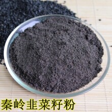 韭菜子粉 现磨炎黄纯原粉 100%纯韭菜籽粉延时早泄壮阳补肾250克