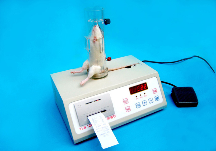 Rat tail Illumination Rat tail pain tester/digital display Light and heat Photothermal tail flick methodin the Hardware/Tool , Instrumentation , Other instrumentation category - from Buy2taobao.com to provide professional Taobao agent buy service