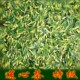 2011同仁堂中药材微山湖优质莲子心莲心茶50克.配甘草金银花