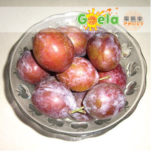  【果易来】进口新鲜水果 澳洲西梅洋李 排毒润肠 3盒起江浙沪包邮