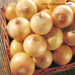  【京黔园】绿色食品优质蔬菜 黄洋葱 北京买菜配送到家