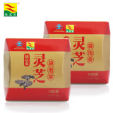 康富来灵芝袋泡茶 10包*2盒 滋补养生 提高免疫力