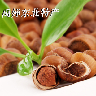  新货 东北野生榛子 小榛子 无任何添加剂 富含维生素E