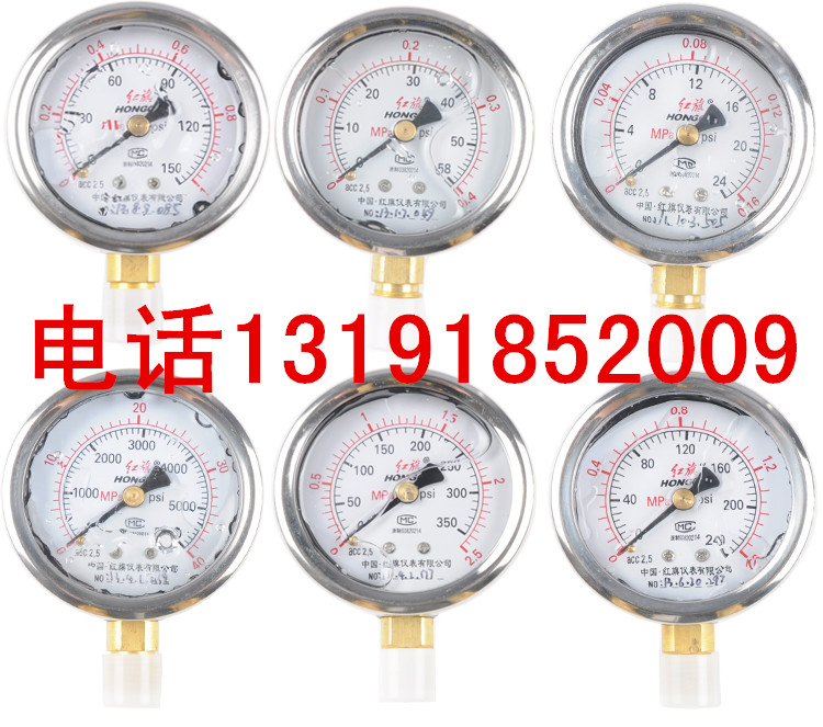 正品红旗耐振压力表YTN100 0-0.6/1/1.6/2.5/4/6MPA 不锈钢外壳在类目 五金/工具, 仪器仪表, 压力表中 - 来自Buy2taobao.com提供专业的淘宝代购服务