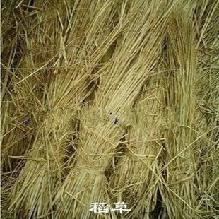 大量现货出售 天然稻草整稻草干稻草草块草帘 保暖背景装饰器材料在类目 鲜花速递/花卉仿真/绿植园艺, 园艺用品, 打草绳等其他绳子中 - 来自Buy2taobao.com提供专业的淘宝代购服务