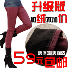 2012春装秋冬装新款女裤小脚裤铅笔裤棉裤加绒加厚打底裤