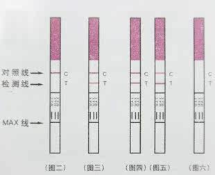 妈妈产前产后用品,3月量!秀儿<em>排卵期试纸</em>45片