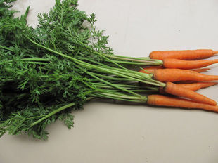  舌尖上的胡萝卜新鲜蔬菜 迷你手指小胡萝卜 西餐配料有机蔬菜500g