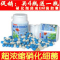 德国进口 玻璃鱼缸净水剂 德瑞硝化细菌粉 硝化菌胶囊 水族箱EM菌