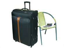 疯狂促销正品BINHAO宾豪箱包拉杆箱旅行箱行李箱28寸8101TB-旅行箱
