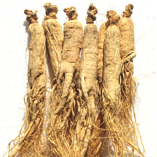 新品热卖 长白山白参吉安边条参 新开河人参1