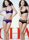 黛安芬剪标魅力魔方烫金印字款之性感内衣