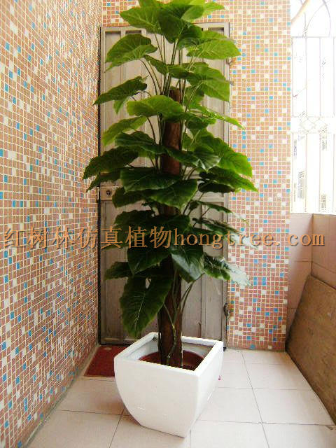 家居仿真树客厅假树办公仿真植物假植物 包棕滴水观音 仙芋在类目 家居饰品, 花瓶/花器/仿真花/仿真饰品, 仿真植物盆景中 - 来自Buy2taobao.com提供专业的淘宝代购服务