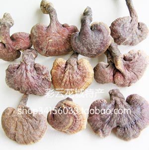  8月新货特价 云南原生态野生赤灵芝100g未处理极少虫眼 假一赔百
