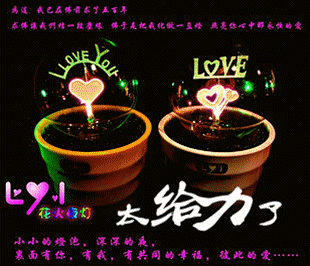 情人节 新奇特礼品生日创意情侣礼物触控浪漫盆栽小夜灯全国包邮