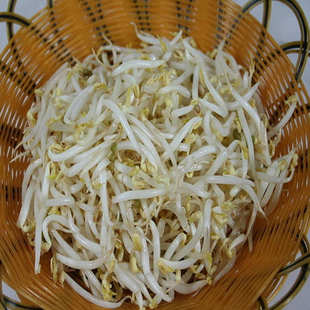  沃庄园精品绿豆芽芽菜500g，绿色食品蔬菜新鲜今日秒杀菜市场