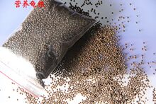 100克优质乌龟饲料巴西龟草龟鳄龟黄喉水龟等专业幼龟粮买5送1