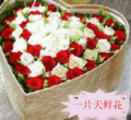 红玫瑰花 粉玫瑰 白玫瑰 紫玫瑰 香槟玫瑰各种礼盒 宁波鲜花速递